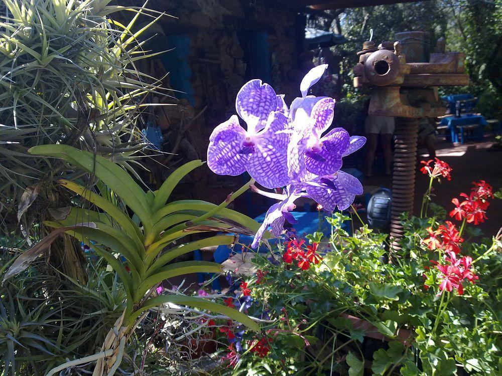 La Locanda Del Mare B&B La Caletta Ngoại thất bức ảnh